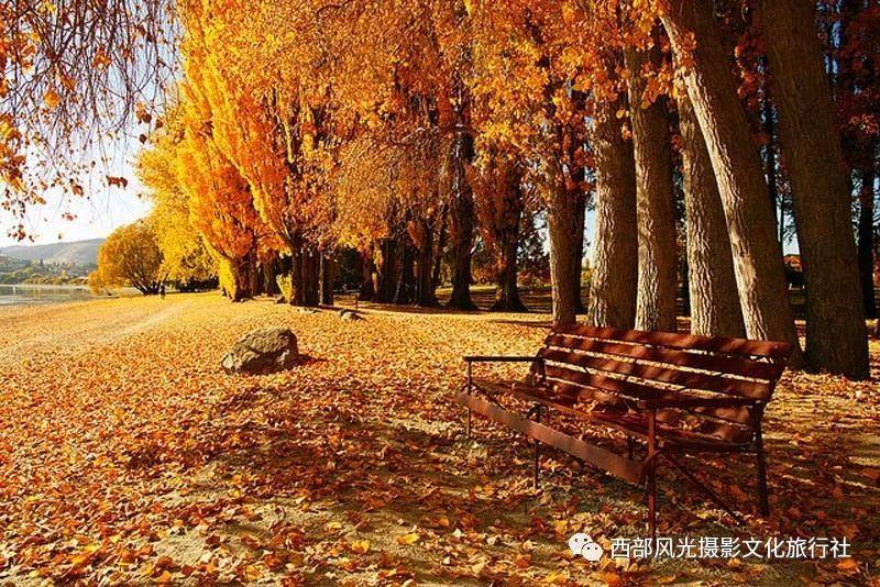 冷知识分享平台 - 惊人的我讨厌大公司的束缚,会让我觉得很烦怎么办?你从未听说过的冷知识