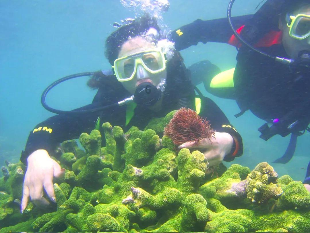 解锁你去过最坑人的旅游景点是哪里?分享与交流的世界