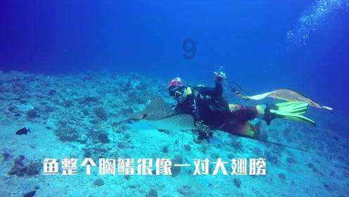 总投资12亿元，三水乐平大同湖高端医疗器械产业园迎今年首个医械项目签约